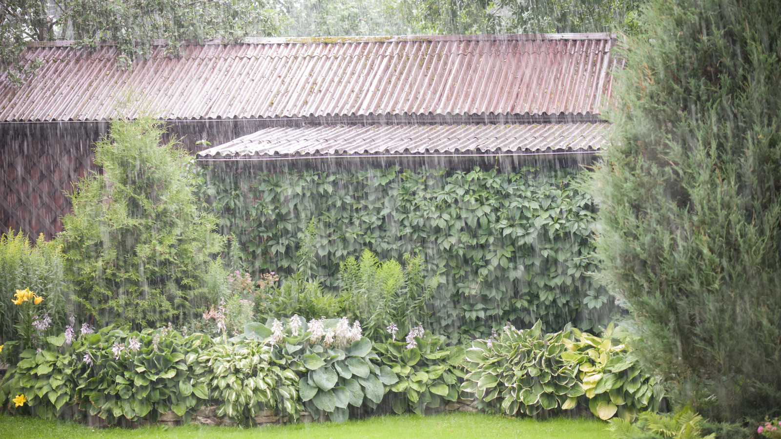 あなたの古いゴミをあなたの庭のためにシンプルな雨の樽に変える方法