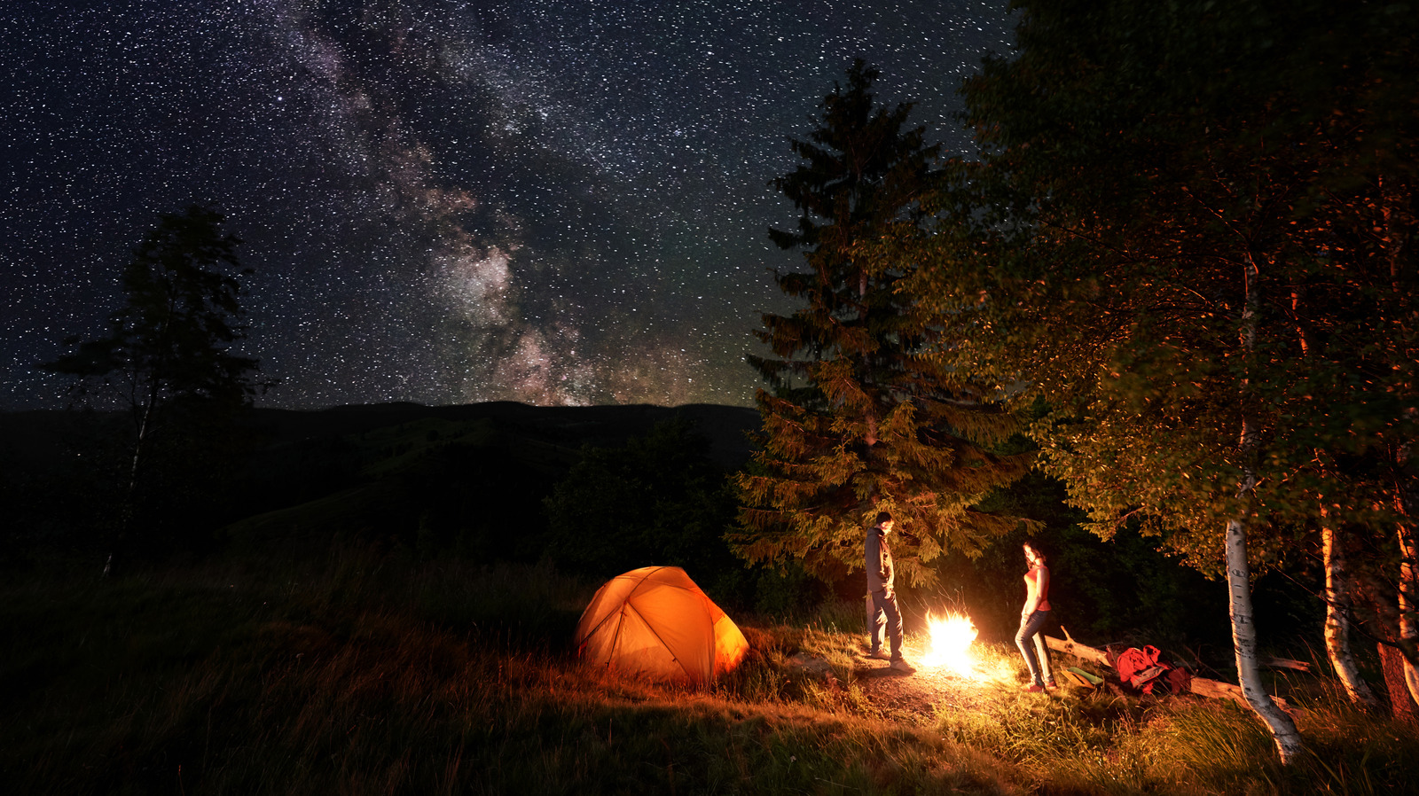 森で迷子になった場合は、これらのヒントを使用してシェルターを見つけやすくします