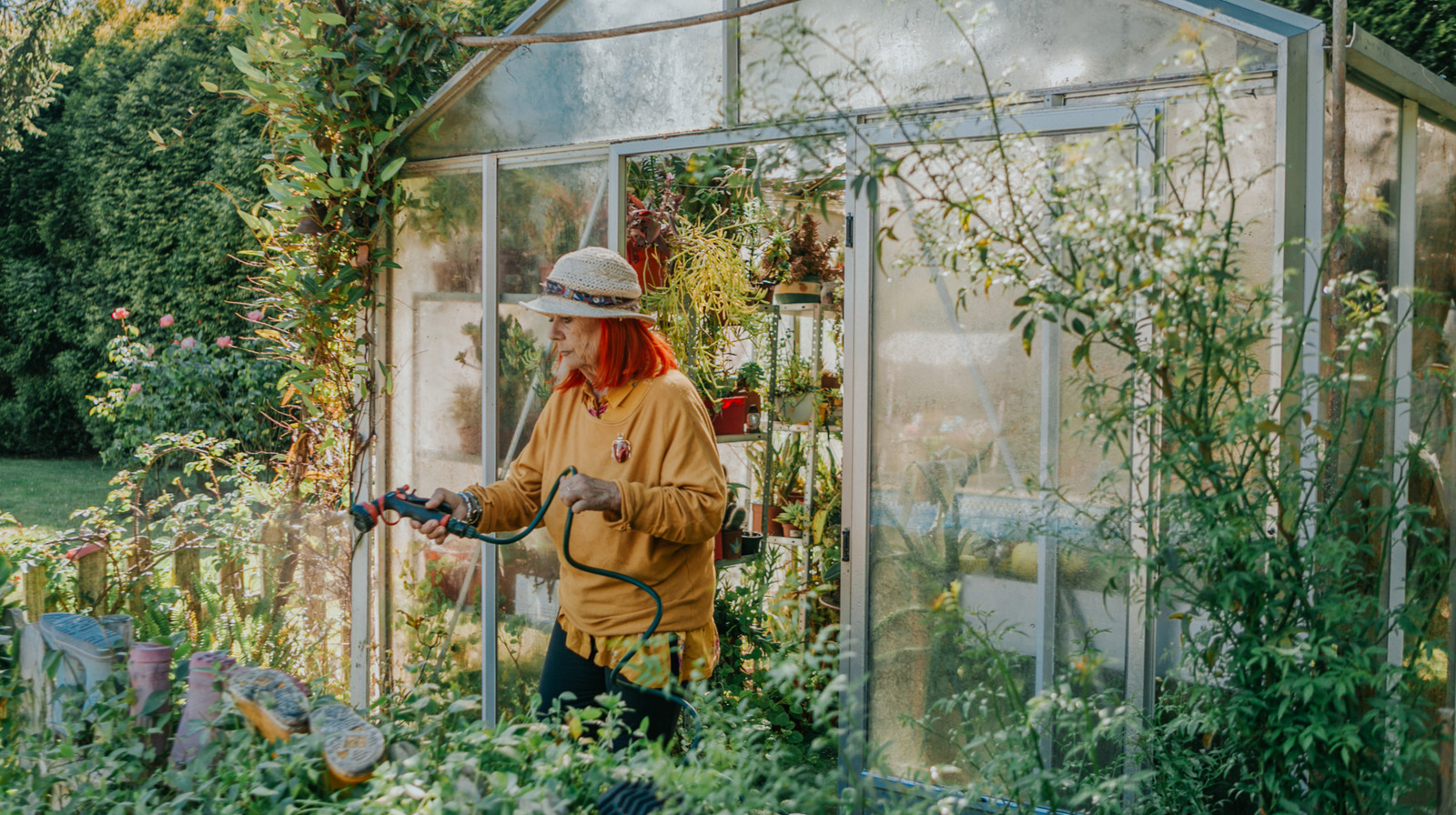 この予算に優しいDIY温室で植物を満足させてください