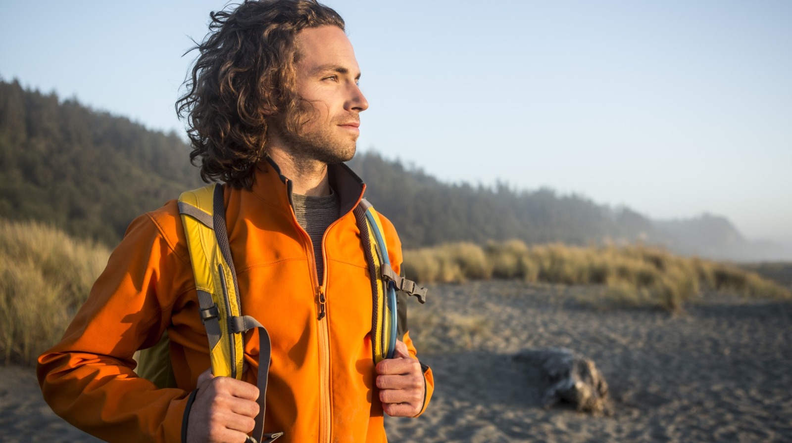 カリフォルニアで冒険するときは、この危険な植物を探してください