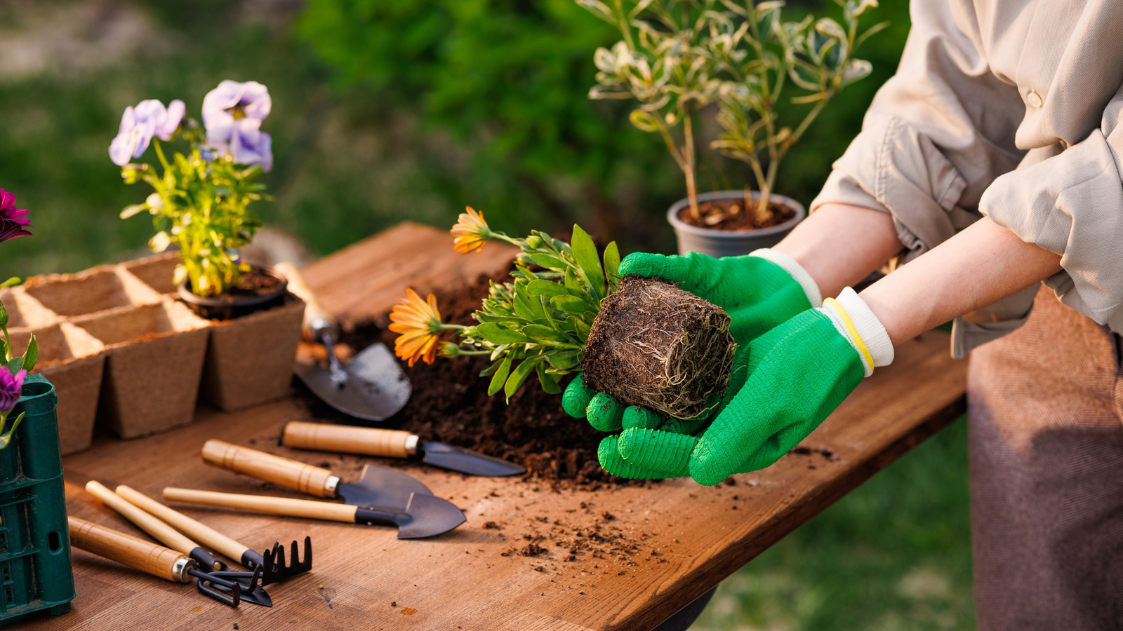 キッチンストレージの定番の助けを借りてあなたの庭の道具を整理する