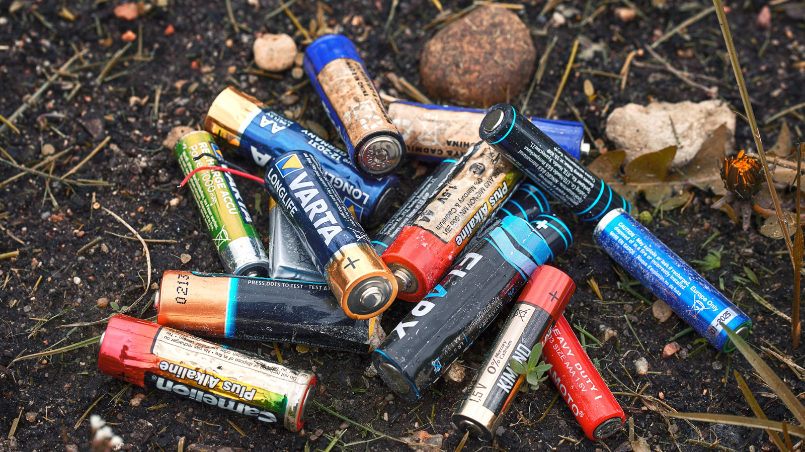 あなたがあなたの庭に汚染された土壌を心配しているならこの花を植える