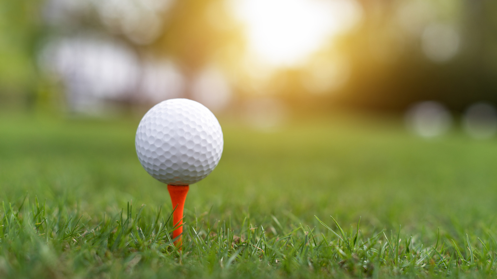 ハックを開始する賢い種子のために余分なゴルフティーを再利用する