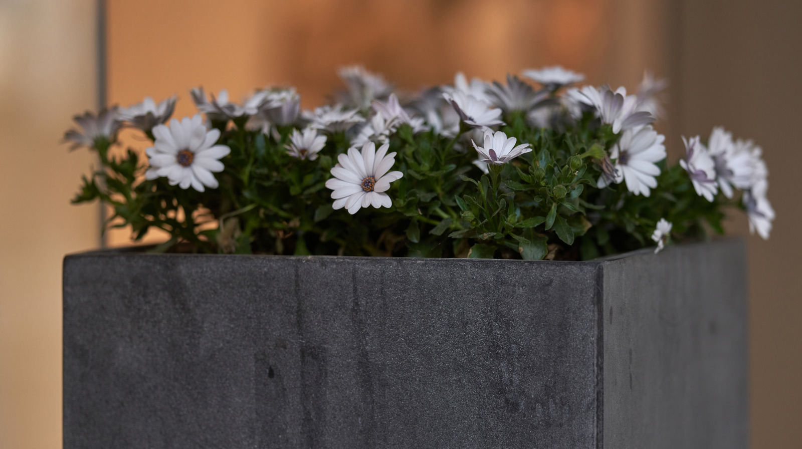 スタイリッシュな庭のプランターのために、残りのシャワータイルを再利用します