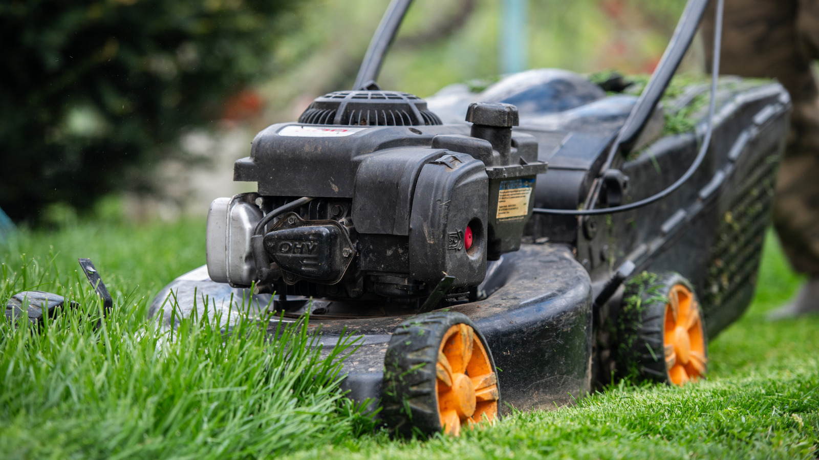 側面排出またはマルチ刈り取り：芝生に最適なものを判断する方法