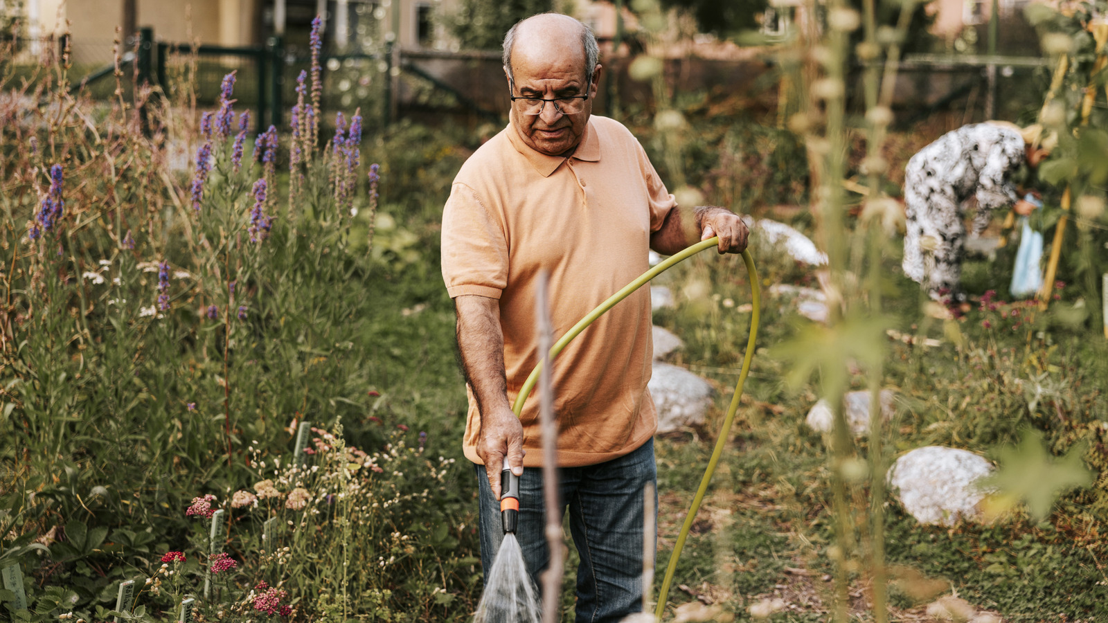 巧妙なDIYソーカーホースで庭のメンテナンスを簡素化します