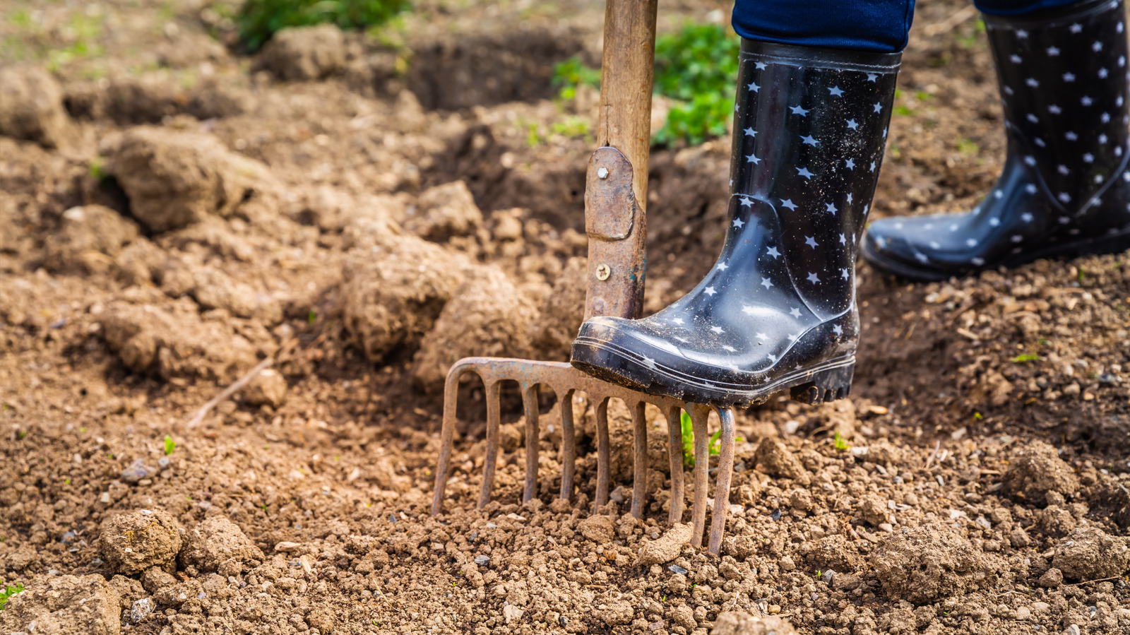 予算に優しいDIYパスで芝生を盛り上げます