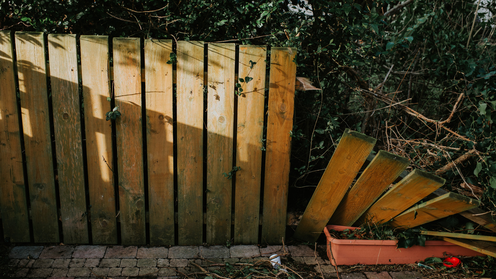 本当に避けるべき、非常にコストのかかるフェンス構築の間違い