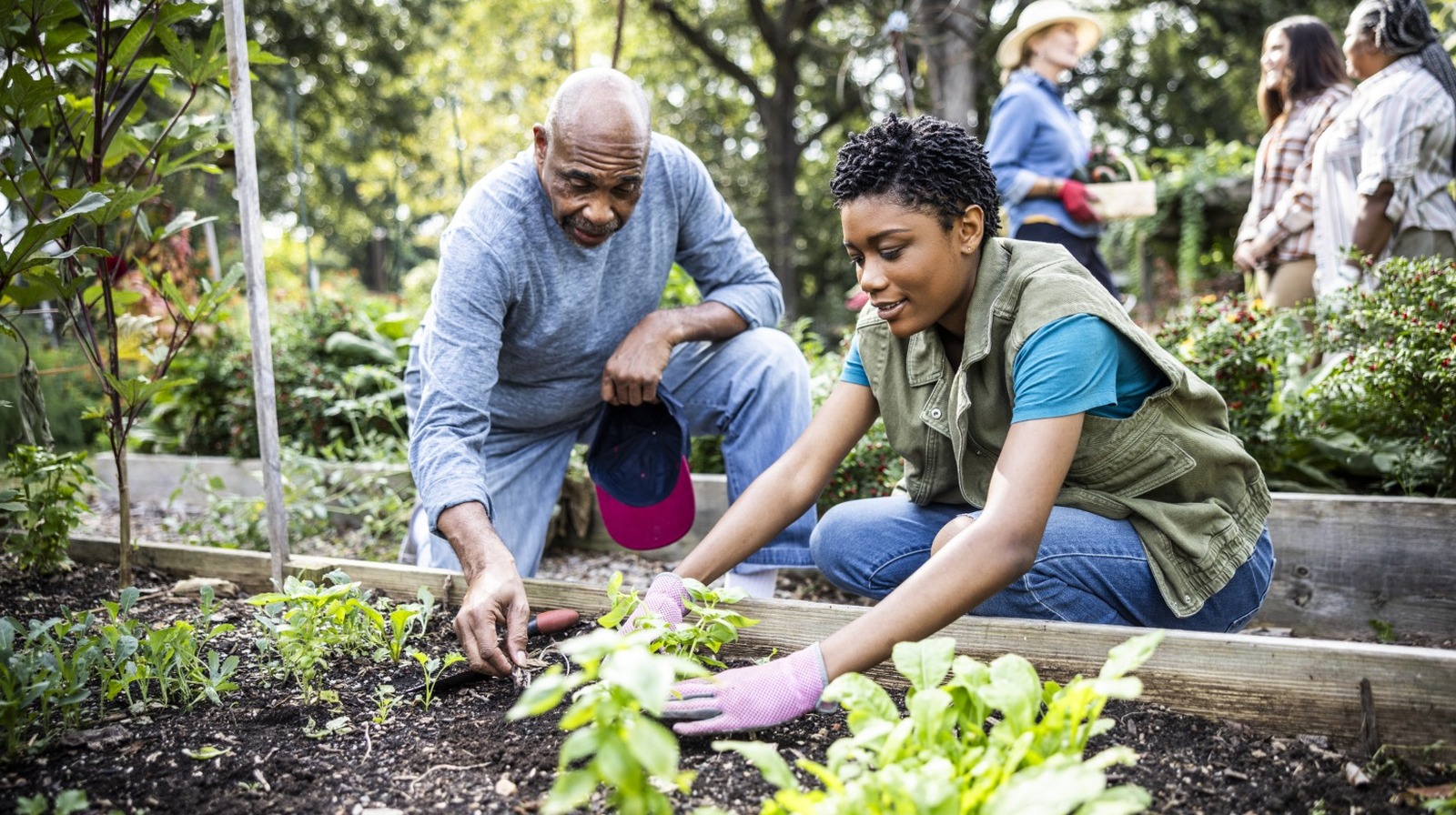 野菜の庭を明るくする美しいオレンジ色の花