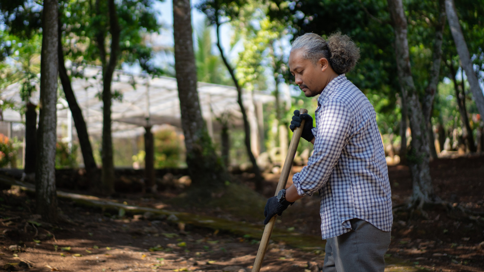種子から草を育てるのに役立つ巧妙なほうきのトリック