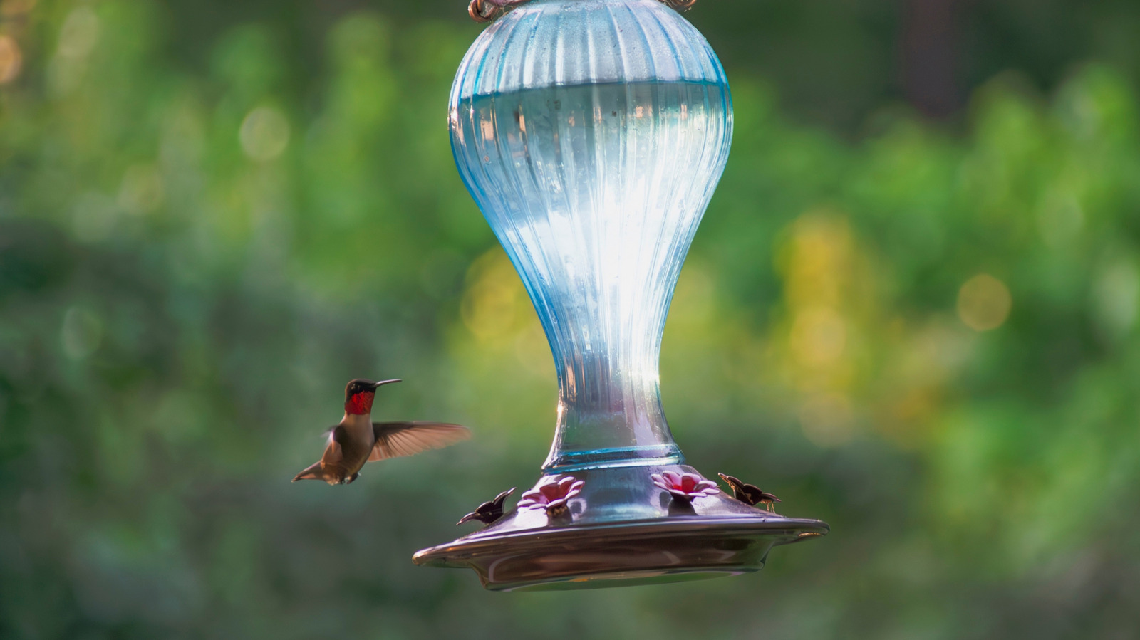 より多くのハチドリを引き付けるカラフルな鳥の餌箱の追加