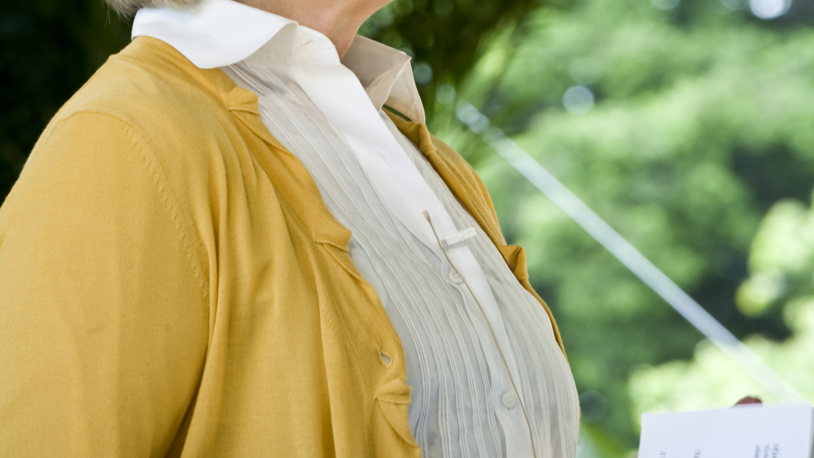 マーサ・スチュワートが取りつかれているDIYバードフィーダーのアイデア