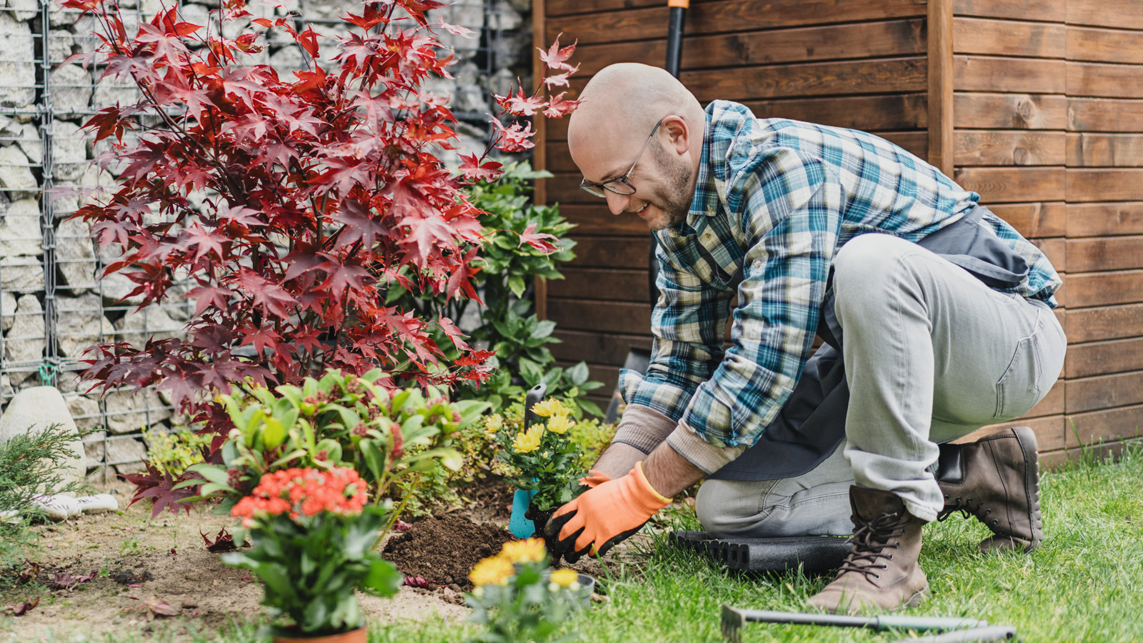 あなたの日当たりの良い庭への完璧な追加である干ばつ耐性のグラウンドカバー