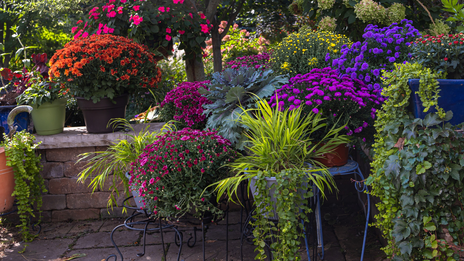 コンテナガーデンで元気に育つ、目を引く赤いベリーいっぱいのグランドカバー