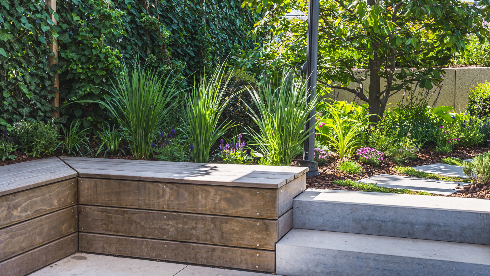 野生生物の配列で日陰の庭を盛り上げるハイビスカスのような花