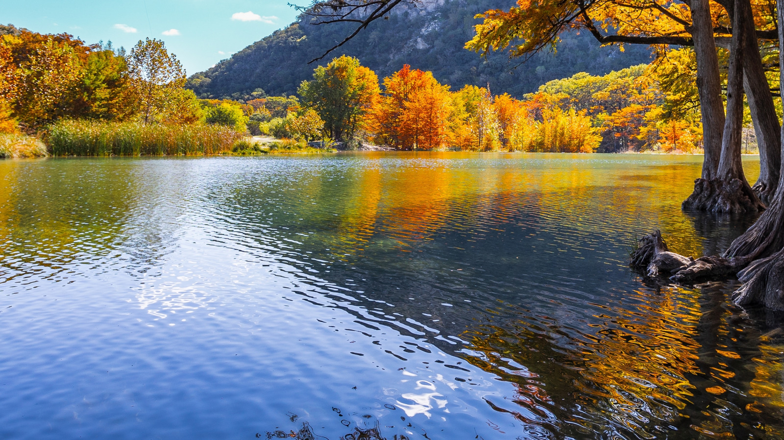 州立公園システムへの待望の追加は、絵のように美しいテキサス保護区です