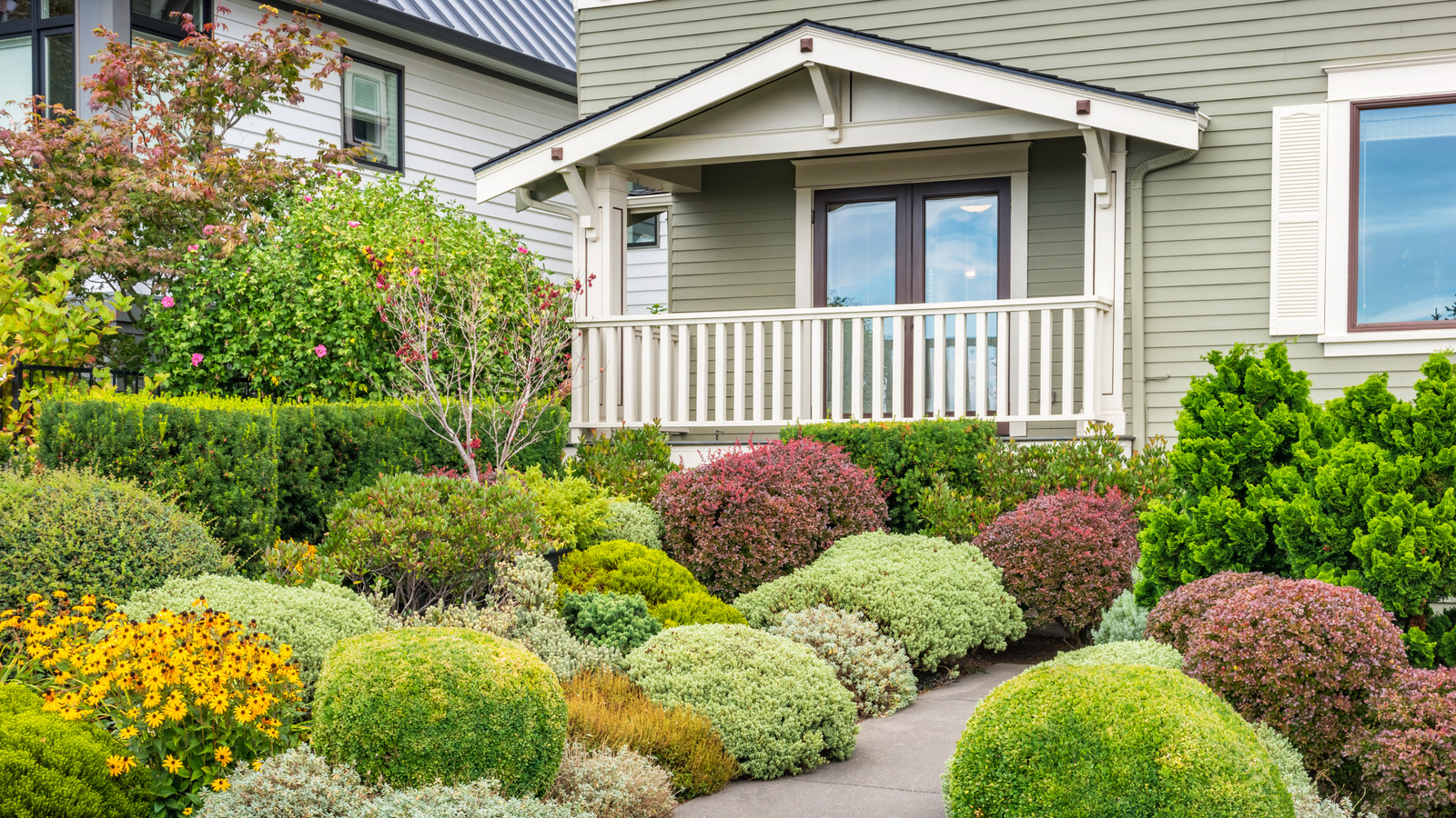 あなたの前庭に完璧な追加であるメンテナンスの低い茂み