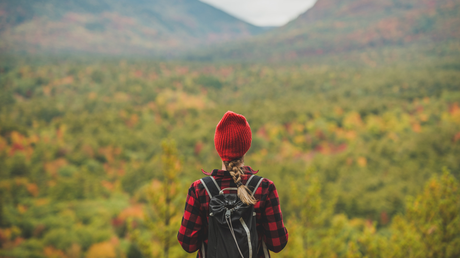 ニューヨークを探索するときに注意する最も危険な動物
