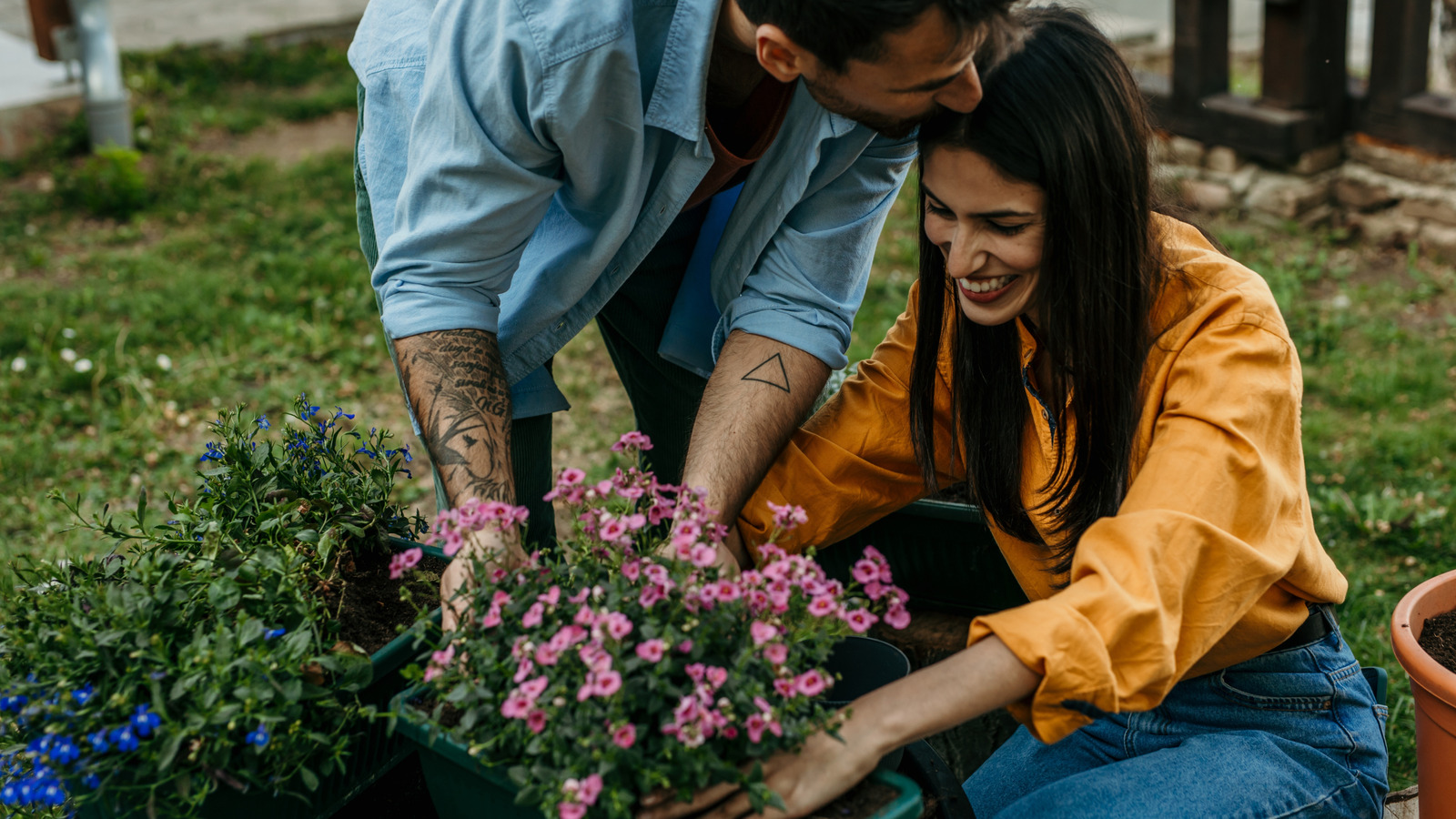 あなたの空の缶を利用する必見の鉢植えの植物フィラー