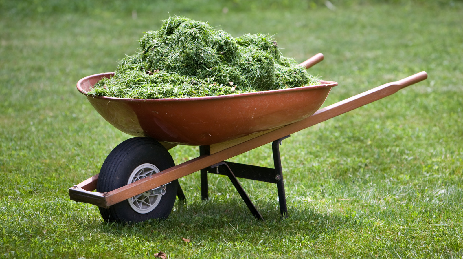 草の切り抜きをより簡単にする必見のトリック
