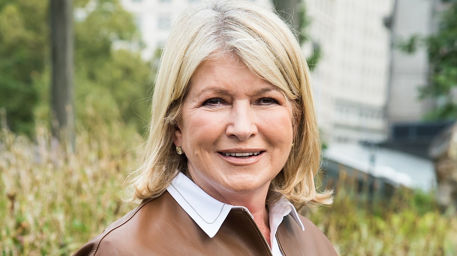 Martha Stewartの移植方法をお試しください