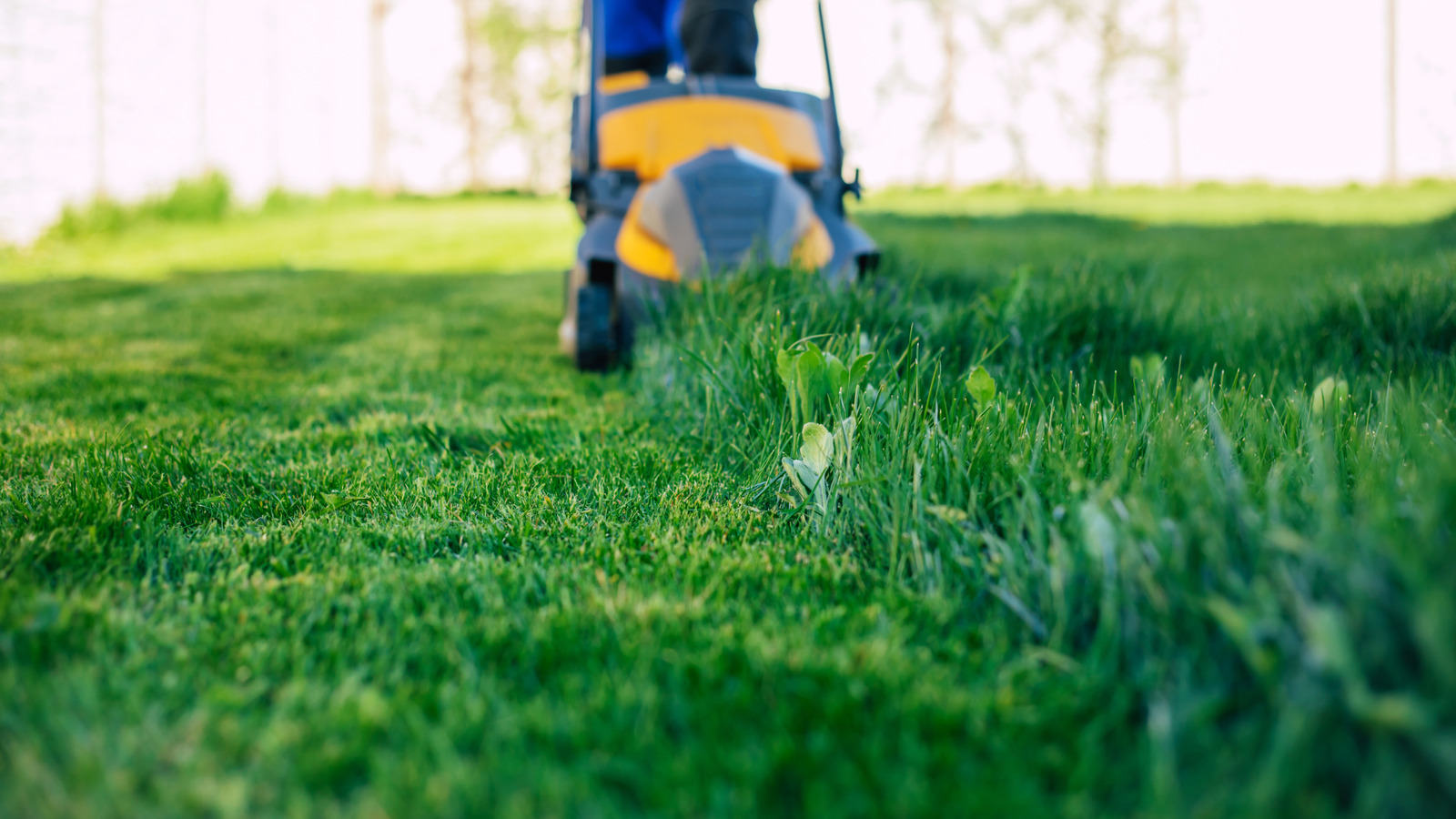 ウォルマート、買い物客が夢中になる電動芝刈り機を販売