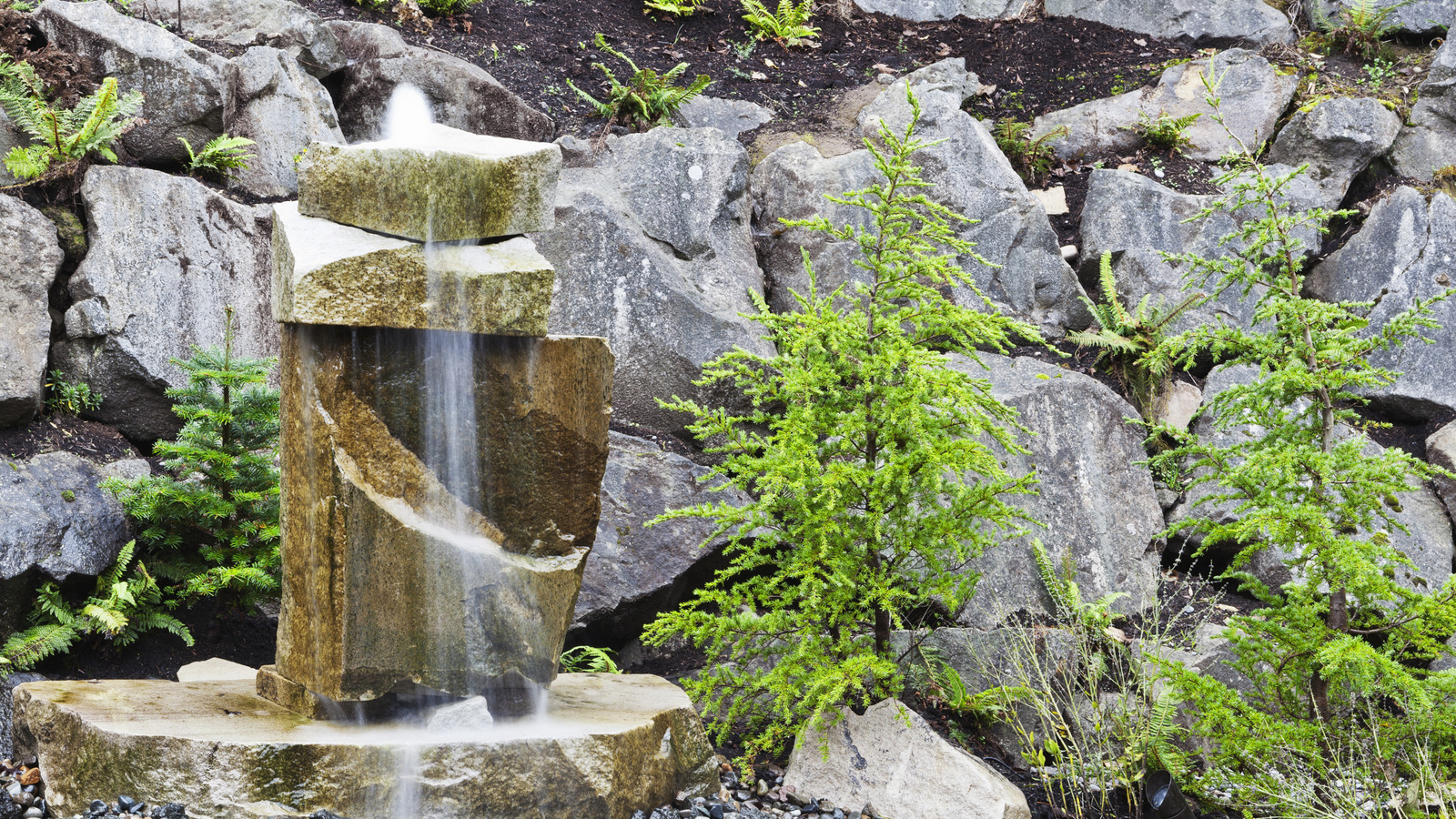 池のない水の機能は何ですか、そしてそれはあなたの庭に適していますか？
