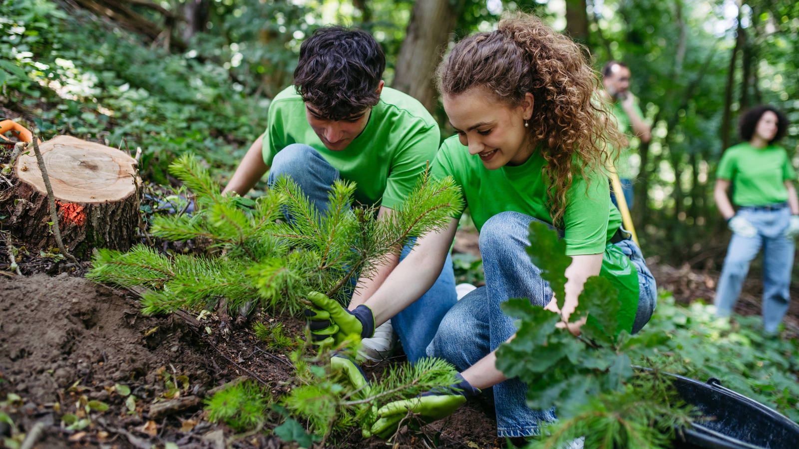 国立公有地の日と関与する方法は何ですか