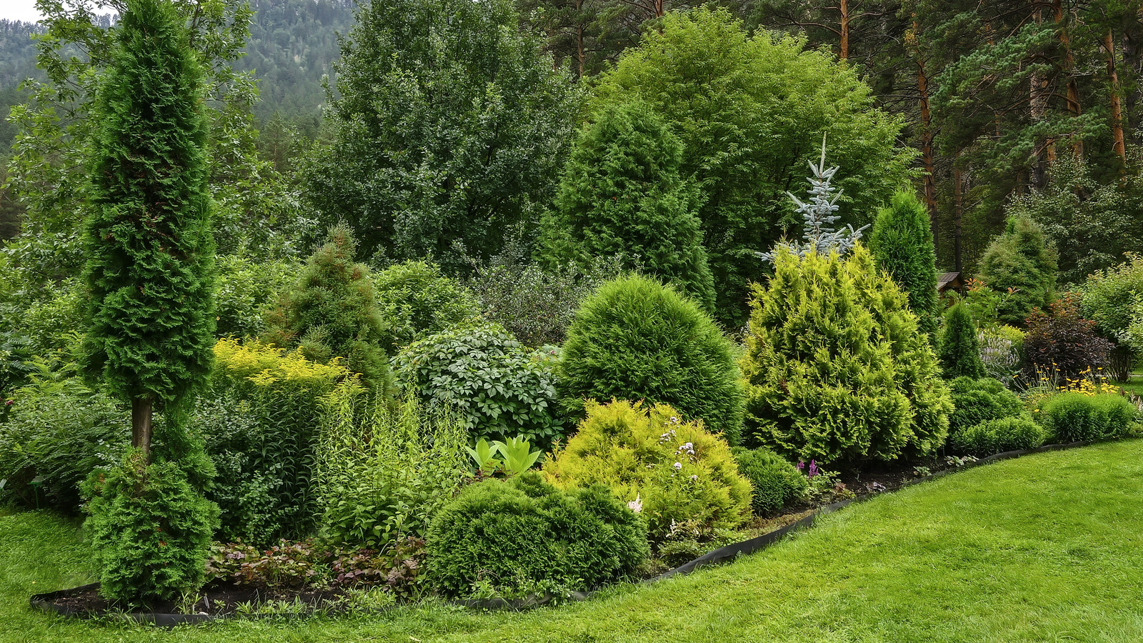 緑のびしょぬれの庭のトレンドを試す前に知っておくべきこと