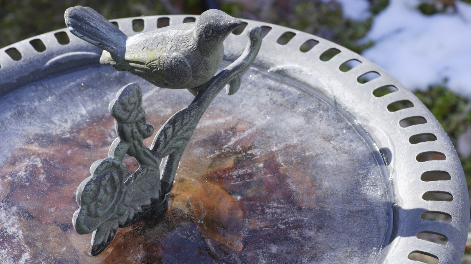 凍ったバードバスに氷を割ると、思っている以上に大きなダメージを与える可能性がある理由