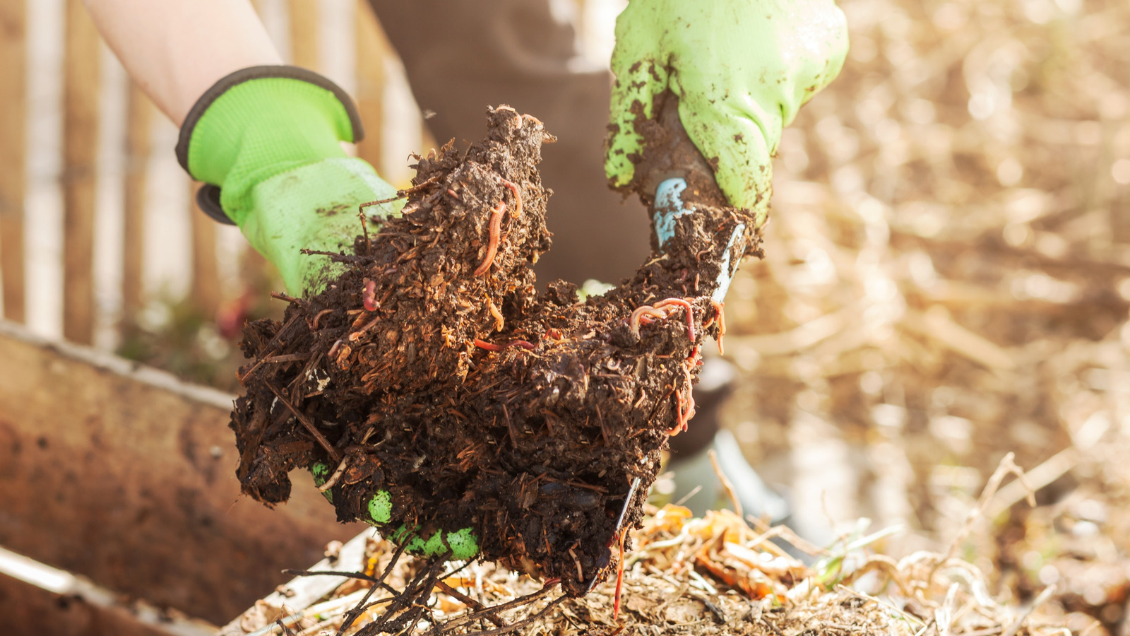 なぜこれらの侵襲的なワームに触れたくないのか、どのようにしてそれらを取り除くことができるか