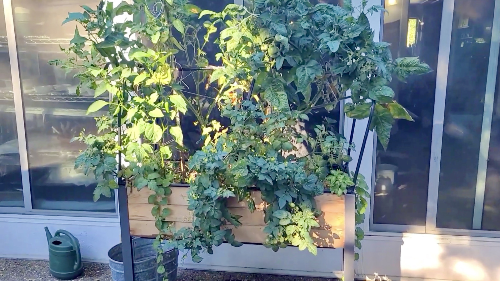 コストコの自動給水式ガーデンベッドをカートに追加することを再検討すべき理由