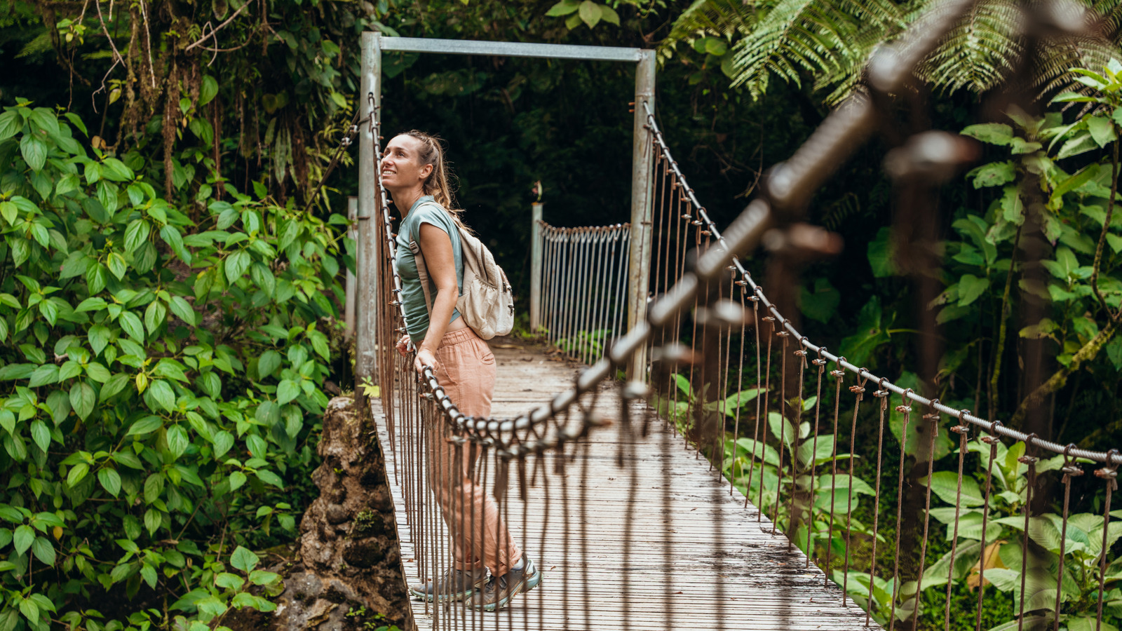 野生動物愛好家はこのコスタリカの人気の目的地を絶対に気に入るはずです