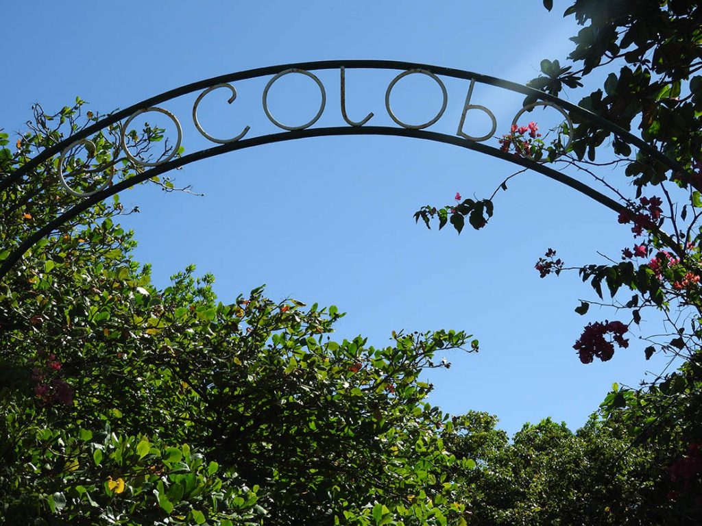 The Arched Entrance to Cocolobo Roatan