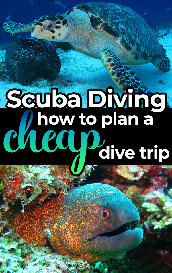 Exactly how to plan a cheap scuba diving trip, including the best budget-friendly destinations, how to book cheap scuba diving packages at your dive shop, and whether or not to buy your own scuba diving equipment.