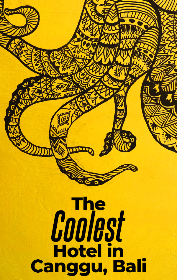 The coolest hotel in Canggu, Bali, Indonesia is Sunflower Stay & Surf, where you can rent a surfboard, live the digital nomad lifestyle in the rooftop coworking space or relax by the Moroccan tiled pool.