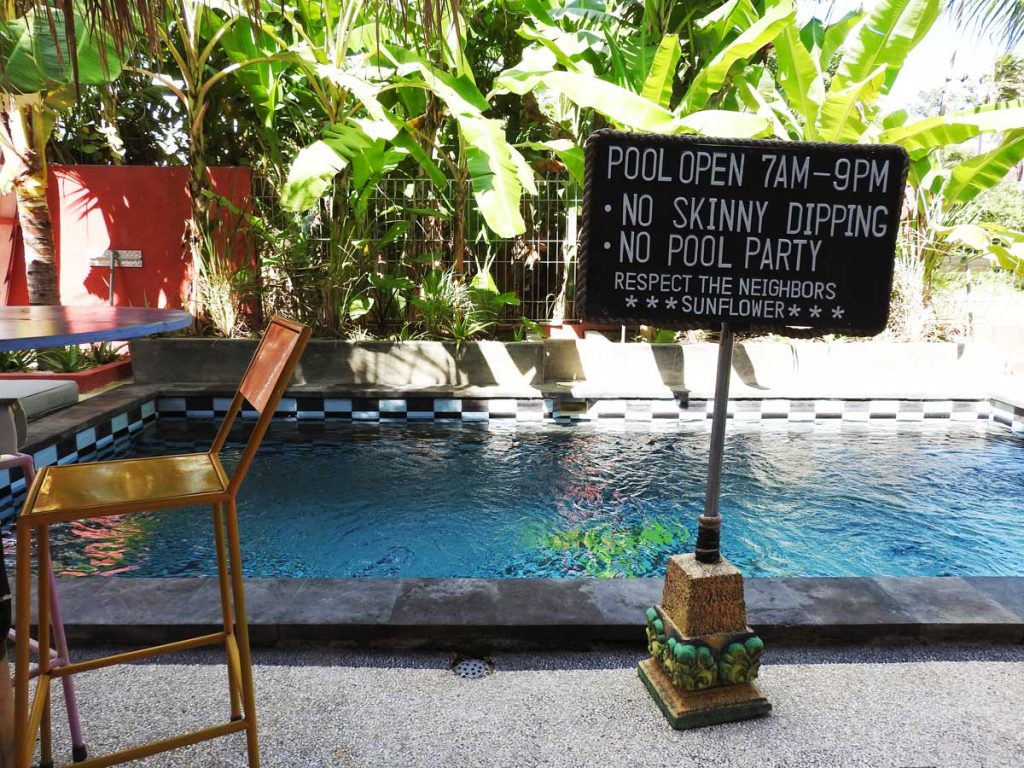 Canggu Hotel Pool at Sunflower Stay and Surf Guesthouse Accommodation
