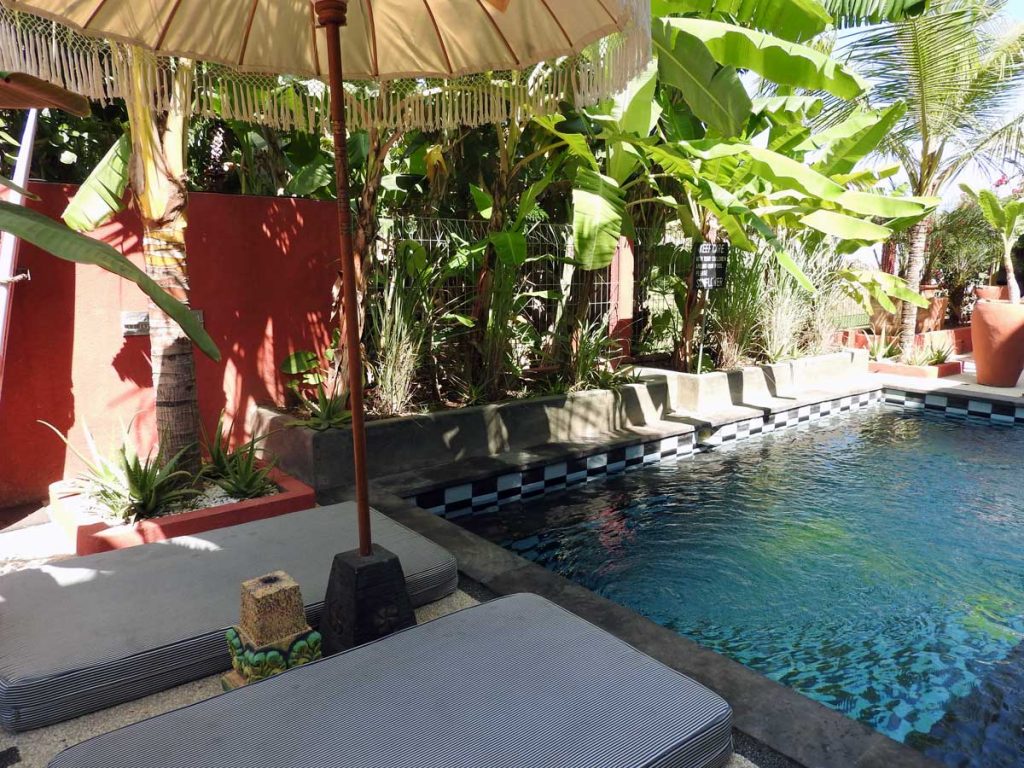 Pool at Sunflower Stay and Surf Guesthouse in Canggu, Bali