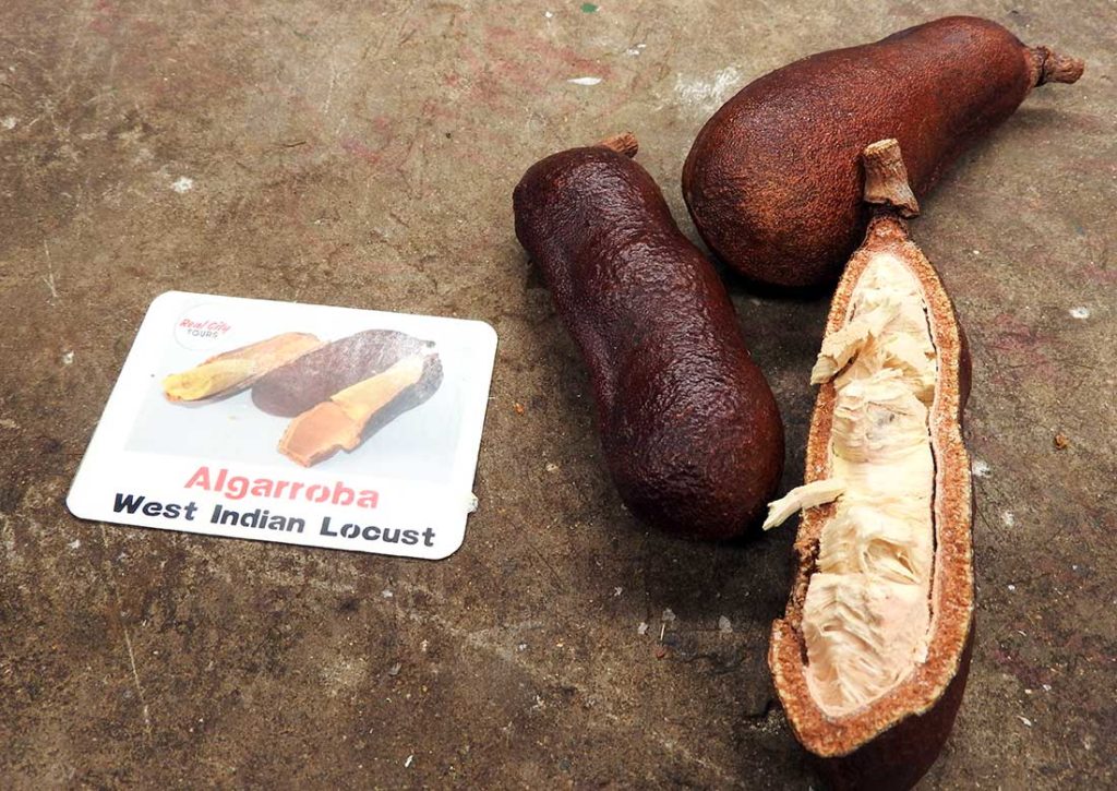 West Indian Locust Fruit