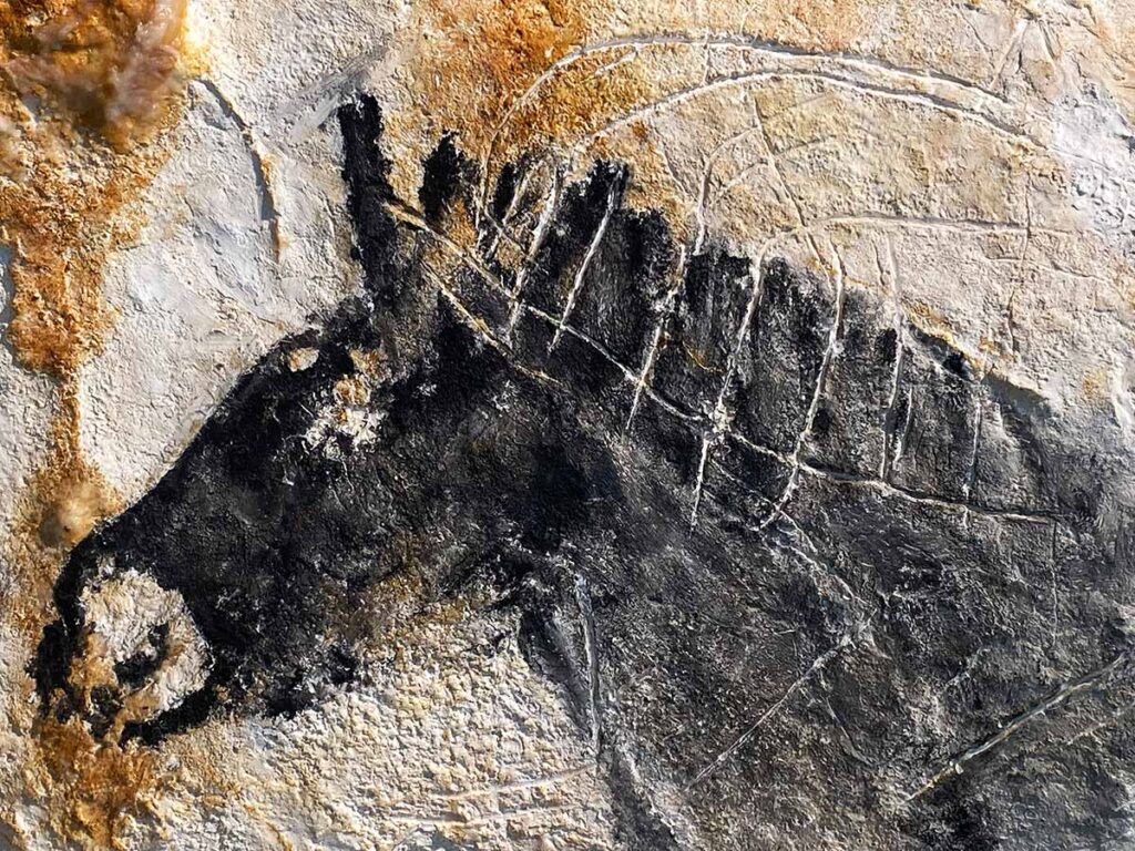 Marseille Cave Museum Simulation Cave Art