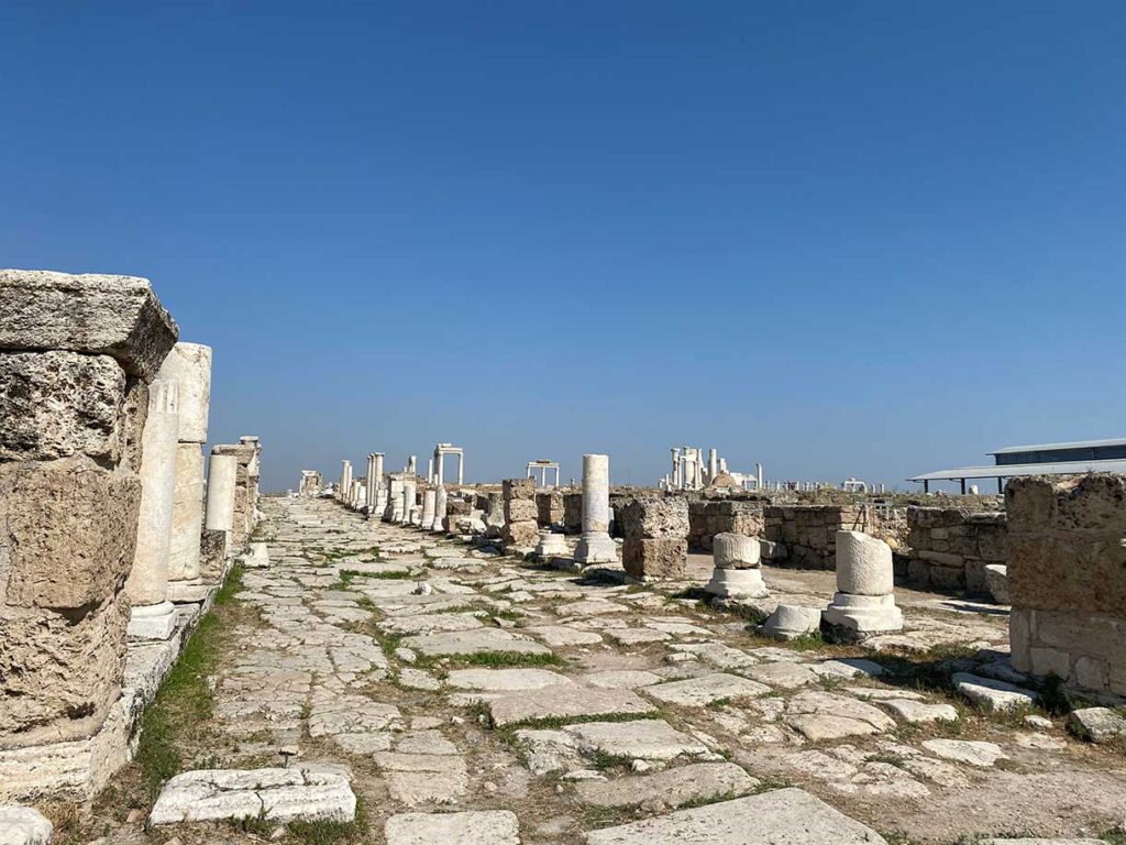 Syria Street in Laodicea