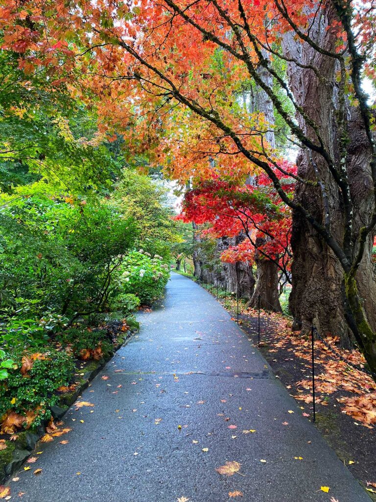 Pathway to the Bog Gardens in Butchart Gardens in Fall
