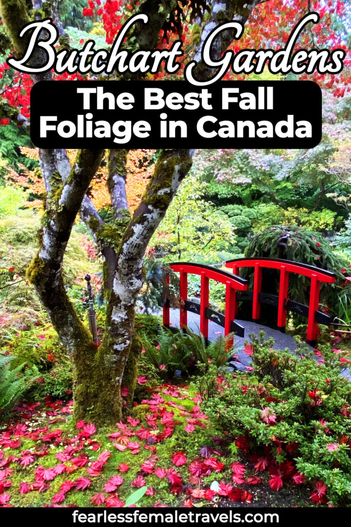 See beautiful autumn foliage colors at the Butchart Gardens in fall in Victoria BC Canada