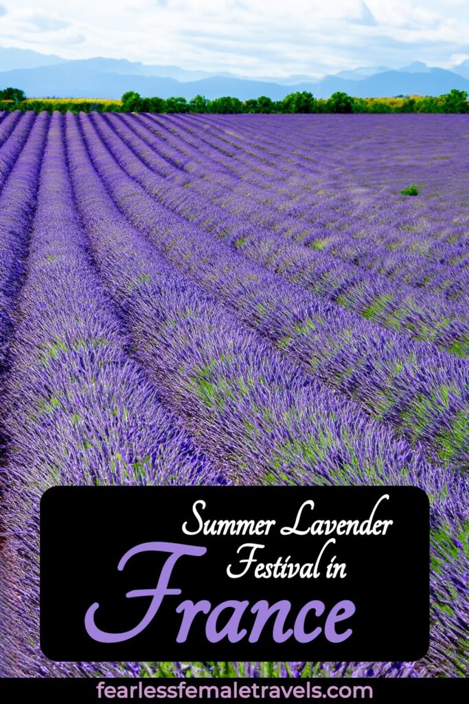 The Sault Lavender Festival in Provence France