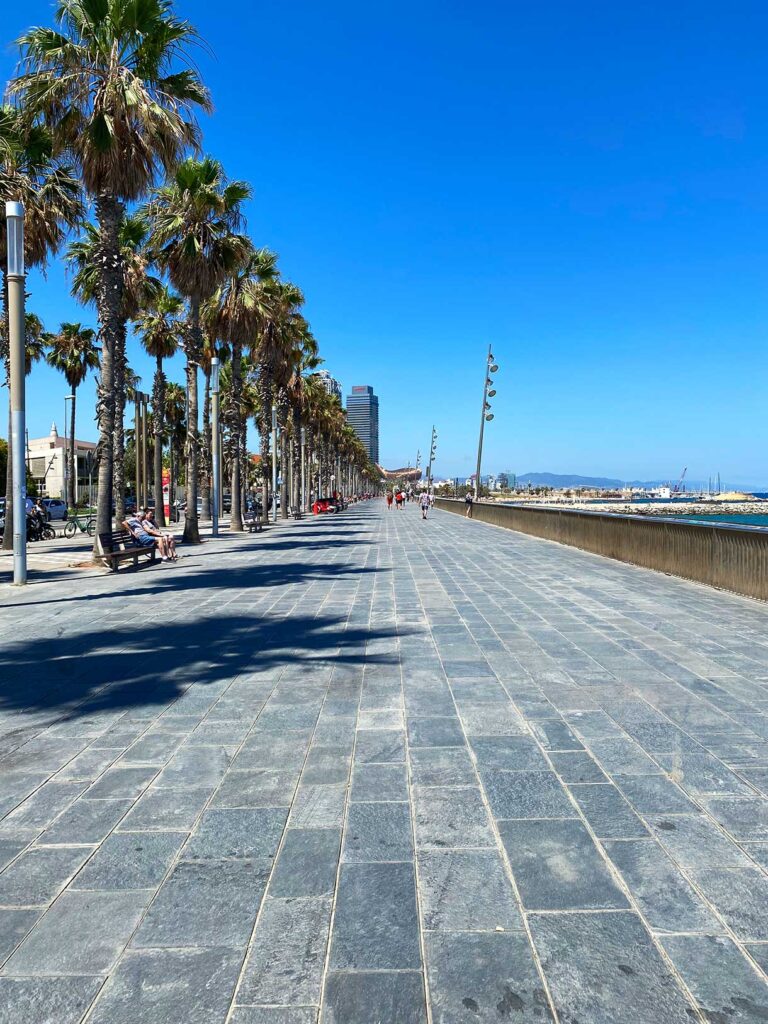 Walking in Barceloneta Barcelona Along a Multi-Use Pedestrian Path on the Waterfront at the Port